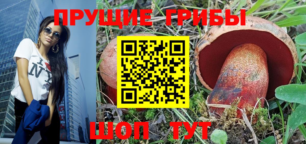 Галлюциногенные грибы GOLDEN TEACHER  Вход с VPN  Тихвин 